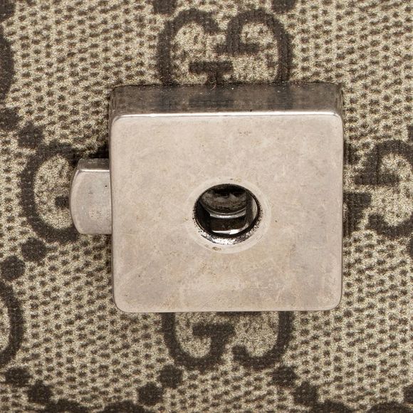 Gucci GG Supreme Blooms Dionysus Medium Shoulder Bag - Picture 9 of 15